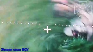 ☠️Наши операторы БпЛА уничтожают живую силу ВСУ в Сумской области