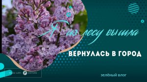 28-05-2026 Зелёный влог. Не рукоделие. Возвращаюсь в город