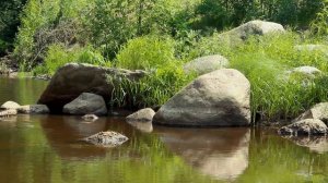 Релакс. Лесная река, Звуки леса, Пение птиц. Звуки природы , Живое пение птиц.