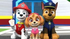 Paw Patrol. Щенячий патруль спасает мирЩенячий патруль готов вместе с тобой решать загадки, играть