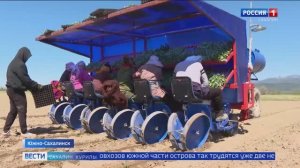 «Вести. Сахалин. Курилы». 27 мая 2026 года