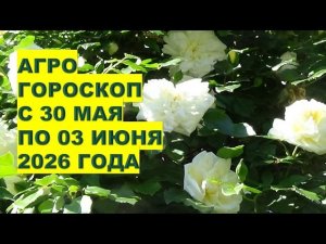 Что произойдет с вашим садом с 30 мая по 3 июня? Агрогороскоп Раисы Горяченко