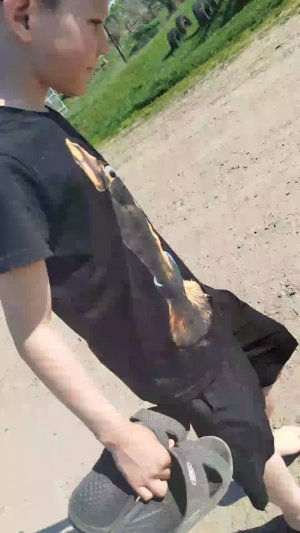 мы