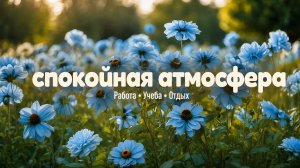 ✧ Спокойная фоновая  музыка для учебы, работы, сна и расслабления