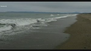 Весеннее Охотское море,  Сахалин