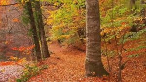 Мудрые цитаты Омара Хайяма.