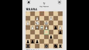 Играю в шахматы онлайн