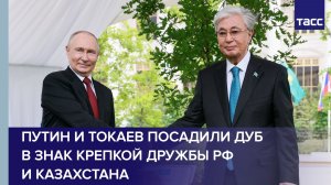 Путин и Токаев посадили дуб в знак крепкой дружбы РФ и Казахстана