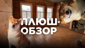 Восстановление деревенского дома глазами нашей собаки!