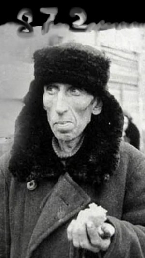 Блока́да Ленингра́да 1941 - 1943