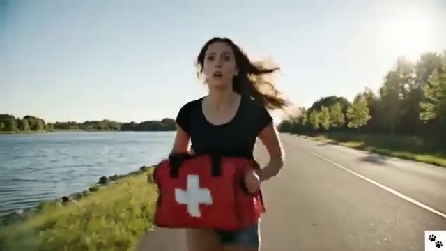 Кот оказался в ловушке в клетке и собака спасла его. смотреть онлайн