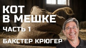 Кот в мешке Часть 1 Бакстер Крюгер