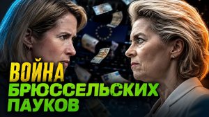 «БИТВА» БРЮССЕЛЬСКИХ ПАУКОВ КАК КАЛЛАС И ФОН ДЕР ЛЯЙЕН ЕВРОПУ ДЕЛЯТ