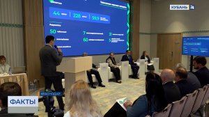 Кубанский научный фонд за 6 лет поддержал почти 300 проектов