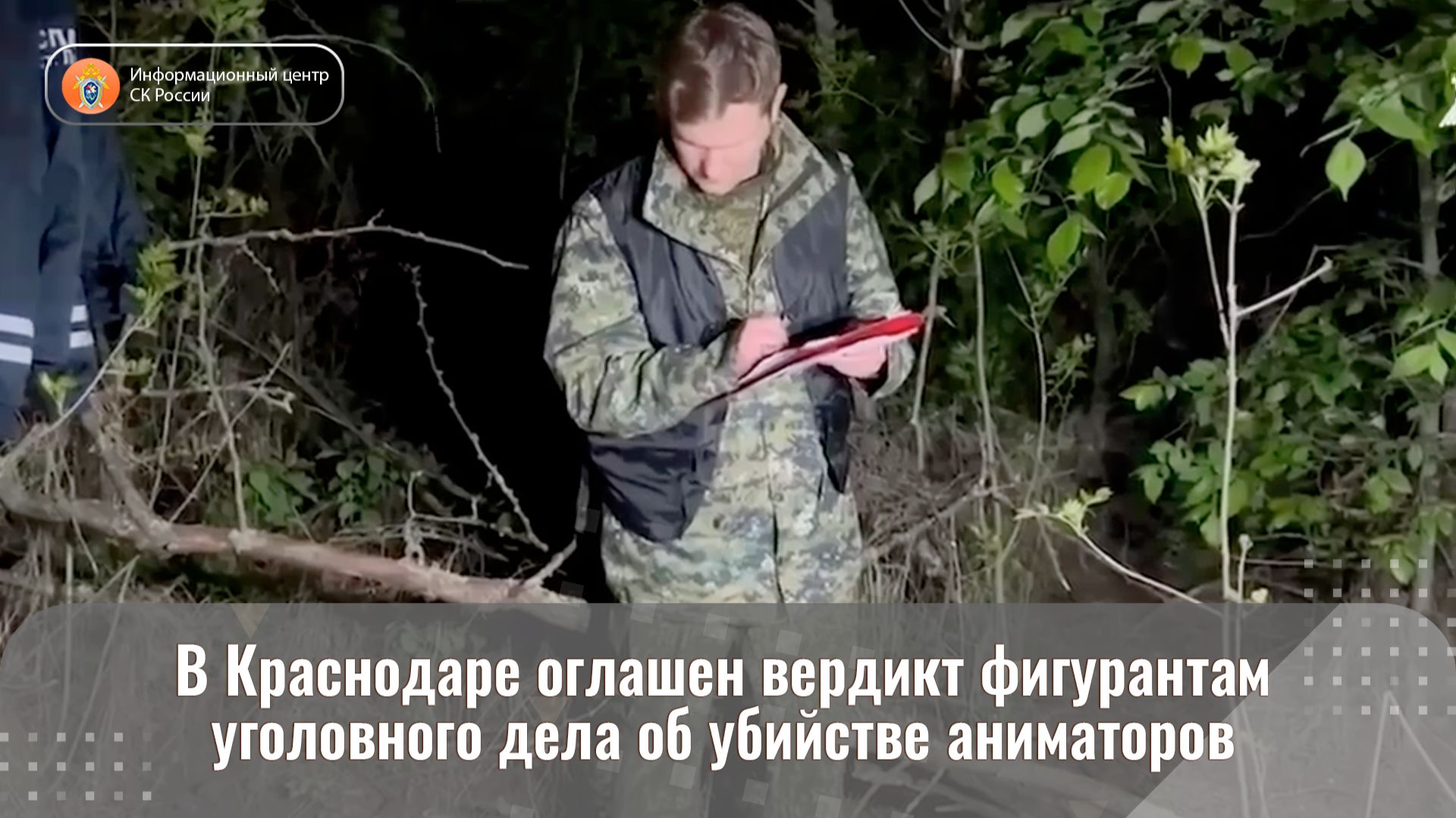 В Краснодаре оглашен вердикт фигурантам уголовного дела об убийстве аниматоров смотреть онлайн