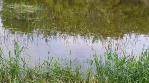 РАЗВЕДКА НА РЕКЕ. ЖАРА ВОДА УПАЛА