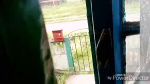 Что сегодня посеяла и посадила.