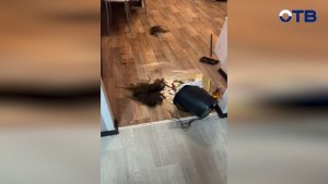 СК возбудил дело против мужчины, которого бывшая жена обвинила в истязании