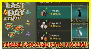 ПОЛНЫЙ ОБЗОР ПРО КОТЯТ! КАКОЙ РЕСУР БУДУТ ТОСКАТЬ КОГДА ВЫРАСТУТ / Last Day on Earth Survival №418