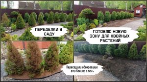 Переделки в саду, новая хвойная зона.