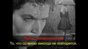 Святая ложь