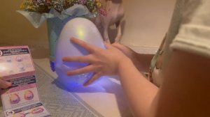 Hatchimals alive дракон и Алёна хэтчималс элайв