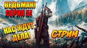 Нас ждут дела! Игра ВЕДЬМАК! СЕРИЯ 5. Прохождение