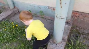 небольшое видео из Омска