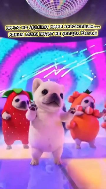 Как выглядит моя прогулка в Китае🇨🇳😁

#shorts #топ #reels #рекомендации #china