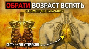 13. Что если твой иммунитет можно разбудить руками | За Гранью Кода