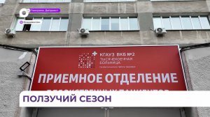 Приморский врач рассказал о мерах предосторожности при обнаружении змеи