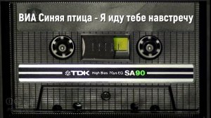 ВИА Синяя птица - Я иду тебе навстречу AI Cover