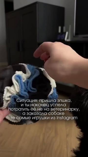 То, что по достоинству оценит любая собака