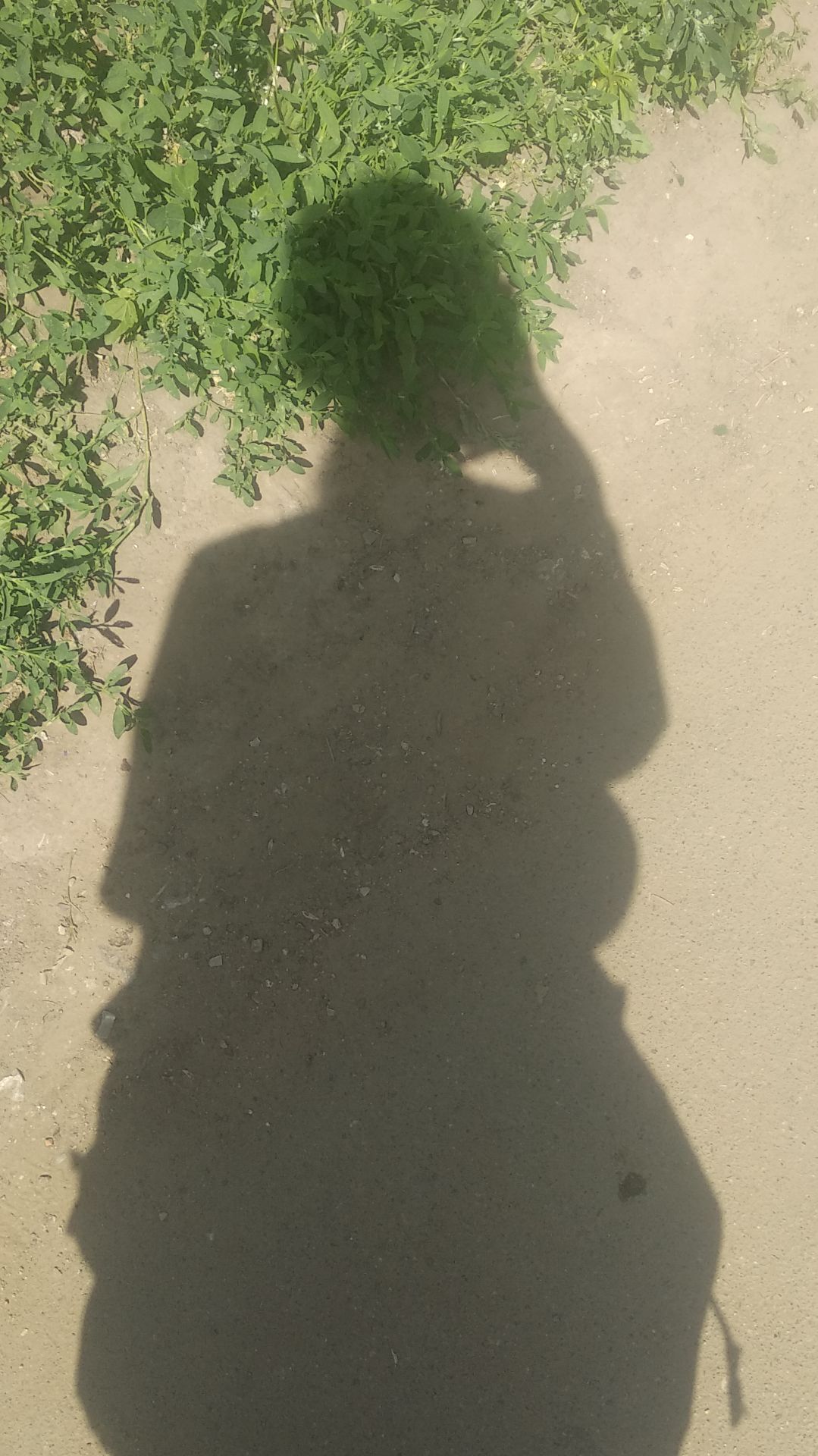 Подпишись! 💕 смотреть онлайн