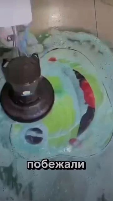 прогулка с подругой 2