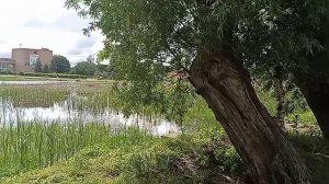 28-05-2026 распаковка чек. холод лалала. как вы там поживаете черкашки без меня. ждете видио