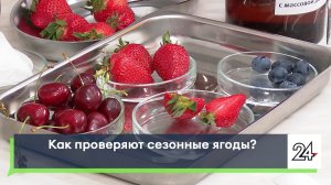 Как проверяют сезонные ягоды?