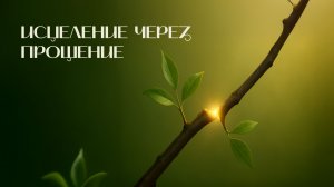 Исцеление через прощение | Древо жизни