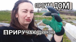 #101 Планы таковы: построить домик для принцессы и приручить дракона