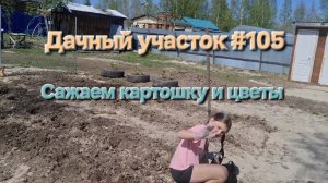 Дачный участок #105 Сажаем картошку и цветы