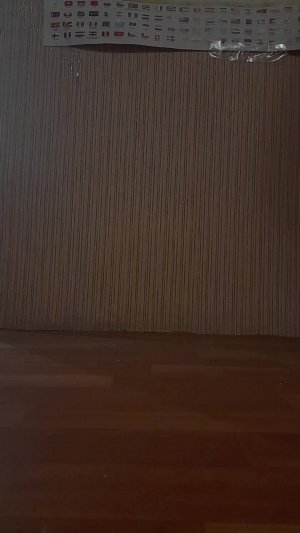 Отжимаюсь за каждого подписчика!