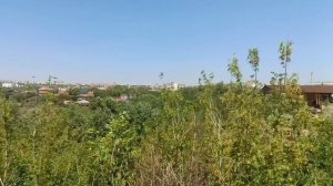 С ДОБРЫМ УТРЕЧКОМ! И ПОМЧИТ ДОРОГА.