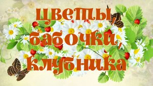 Цветы,бабочки, клубника, синички и ночь музеев