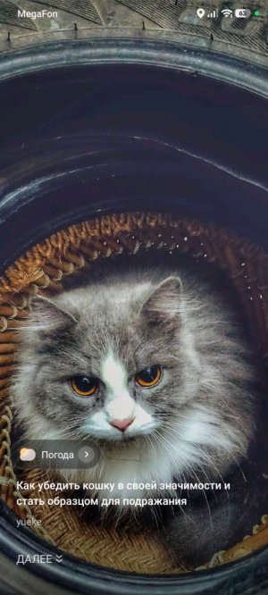 Стиж