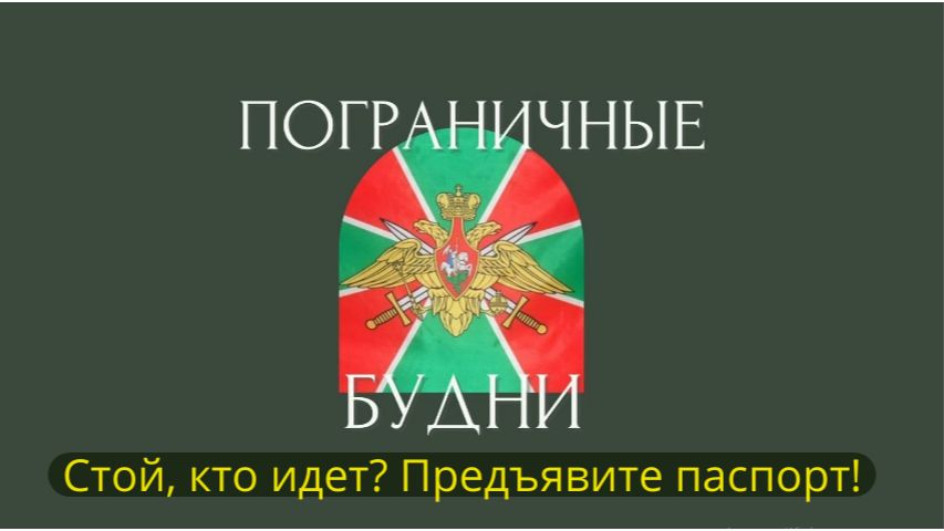 Стой, кто идет? Предъявите паспорт! смотреть онлайн