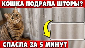 Шторы были испорчены… пока я не попробовала это