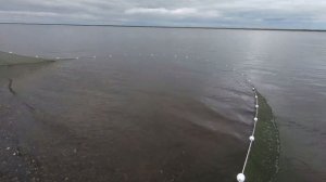 Невод. Рыбалка с маленькой колдуньей...