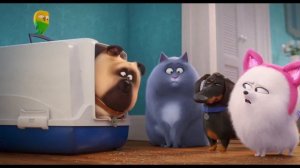 Сцена с уроками для кошек из фильма «Тайная жизнь домашних животных 2» (2019)