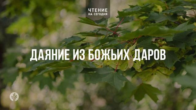 ДАЯНИЕ ИЗ БОЖЬИХ ДАРОВ  | АУДИО |	15	  июня 2026