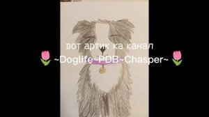 Артик каналу 🌷~Doglife~PDB~Chasper~🌷